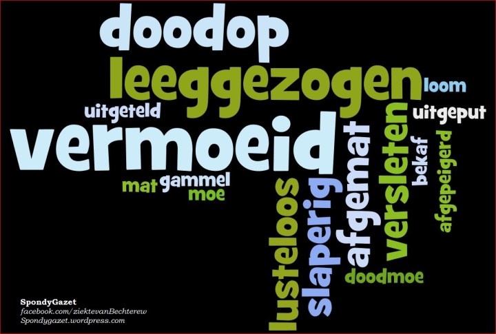 2013 Wordcloud Vermoeid Bechterew_SpondyGazet