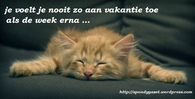 Spondygazet aan vakantie toe