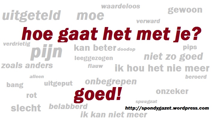 hoegaathetmetje