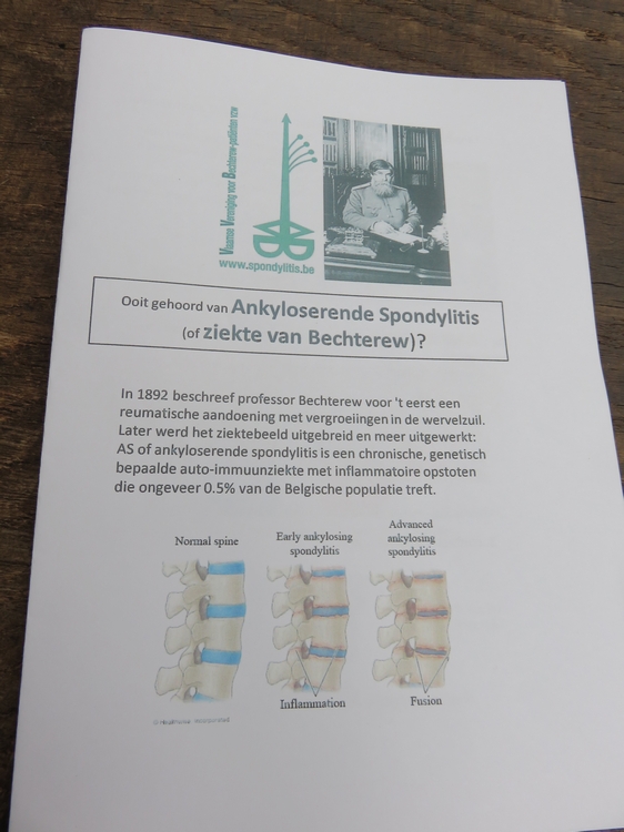 folder Ziekte van Bechterew, Vlaamse Vereniging voor Bechterewpatiënten 